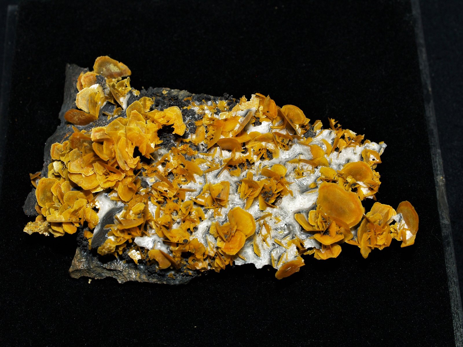 Wulfenite
10x9.2x2 cm's
(Autor: Joseph DOliveira)