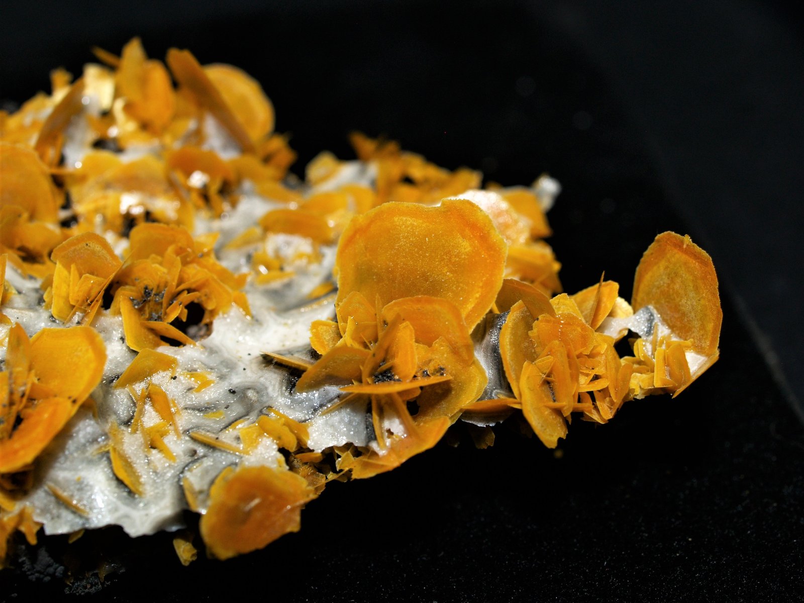 Wulfenite
(Autor: Joseph DOliveira)