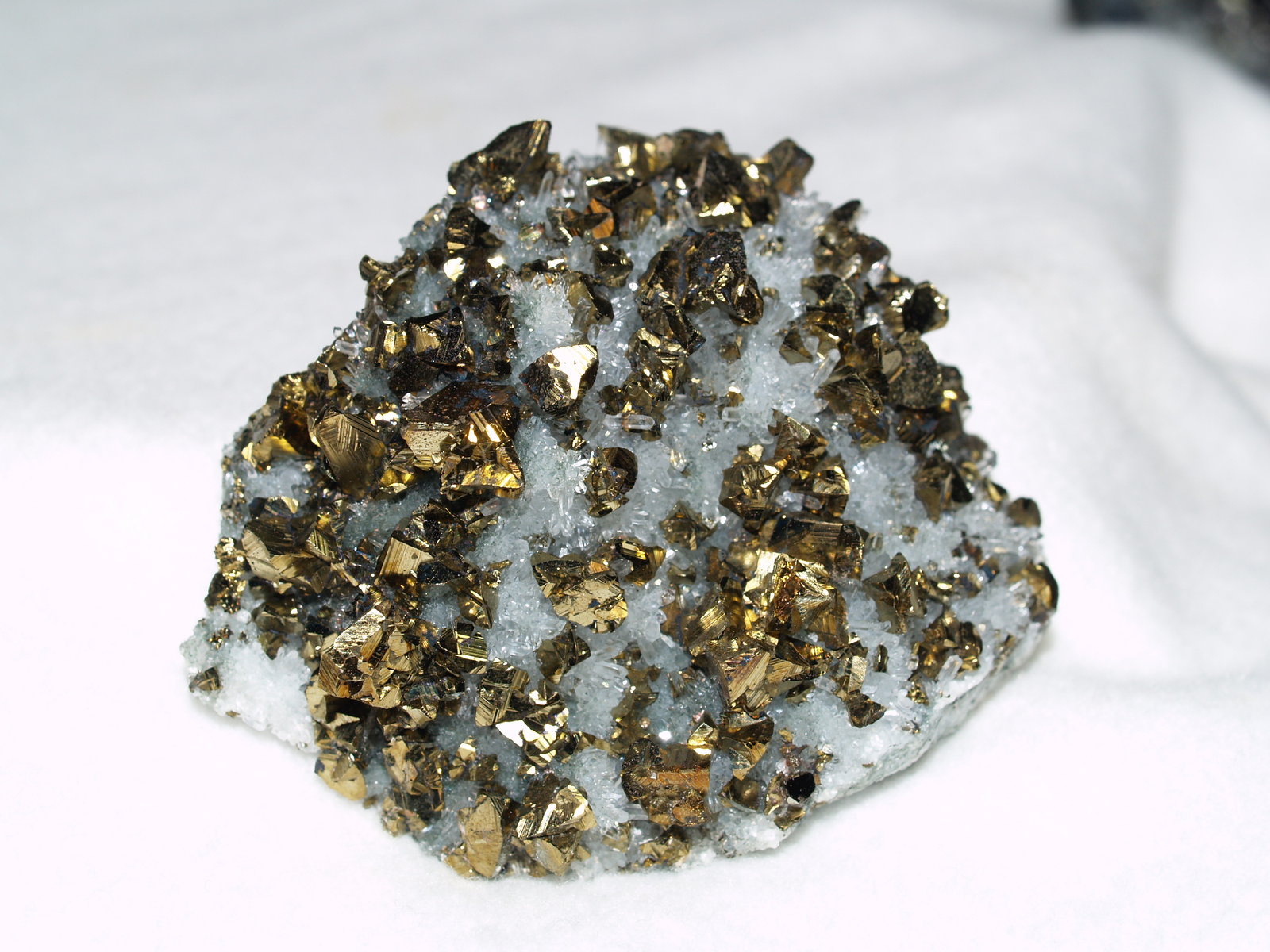 Chalcopyrite
6.5x5.4x2 cm's
(Autor: Joseph DOliveira)