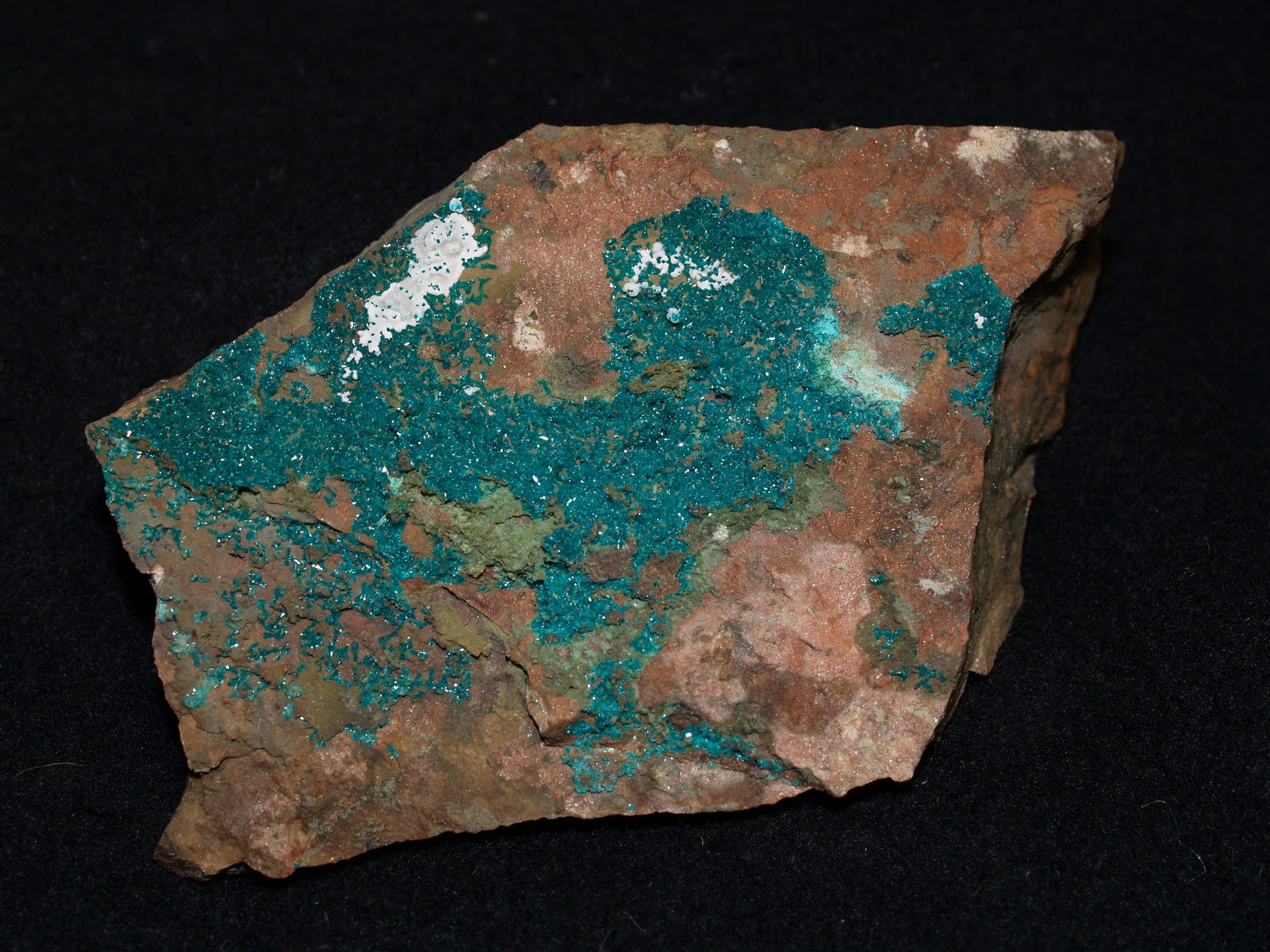 Dioptase
8.5x5.7x1.5 cm's
(Autor: Joseph DOliveira)