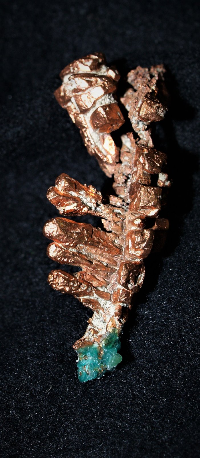 Copper
3x1.5x1.2 cm's
(Autor: Joseph DOliveira)