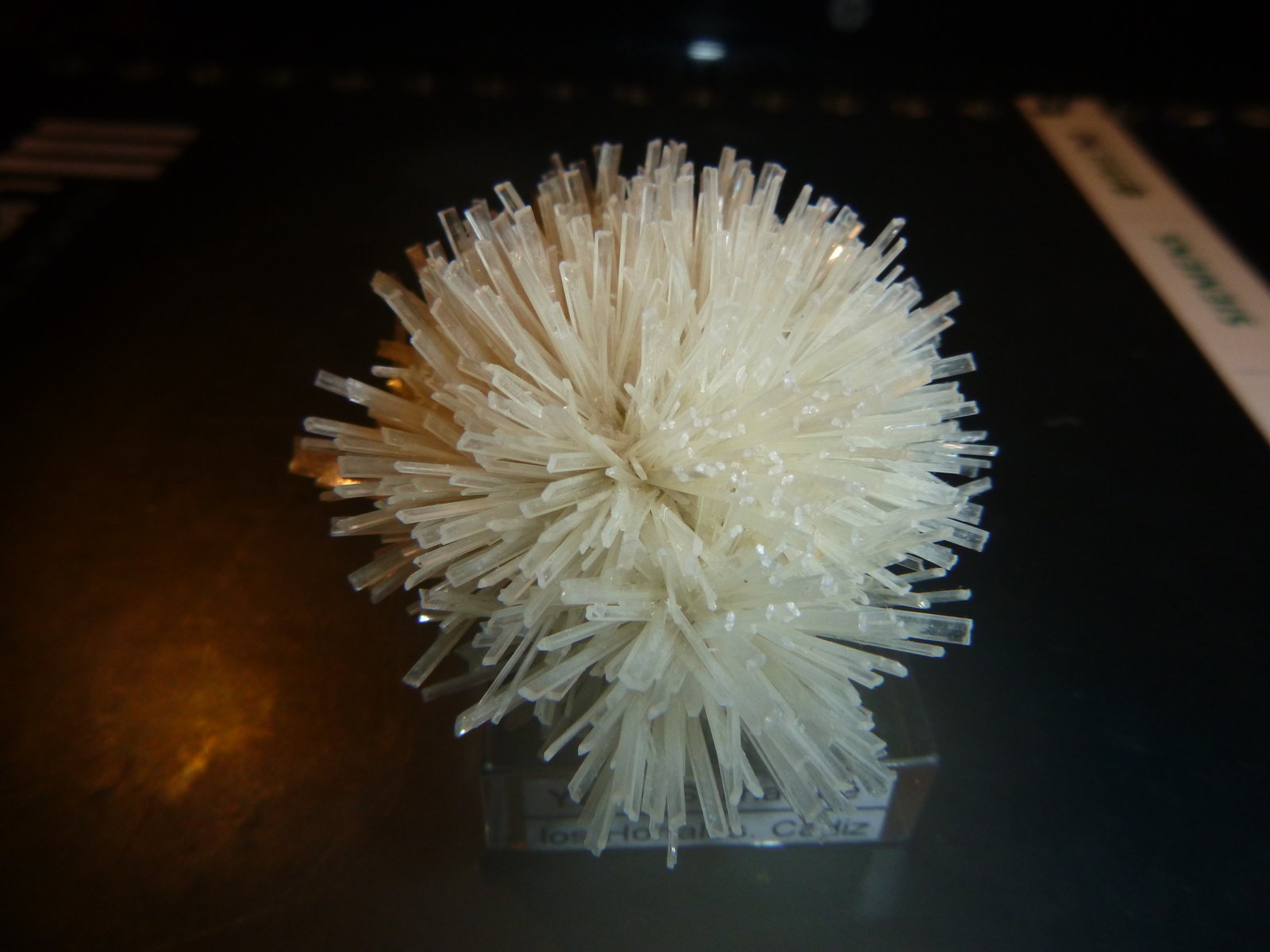 Gypsum
7 cm x 5 cm x 4 cm
(Autor: Firmo Espinar)