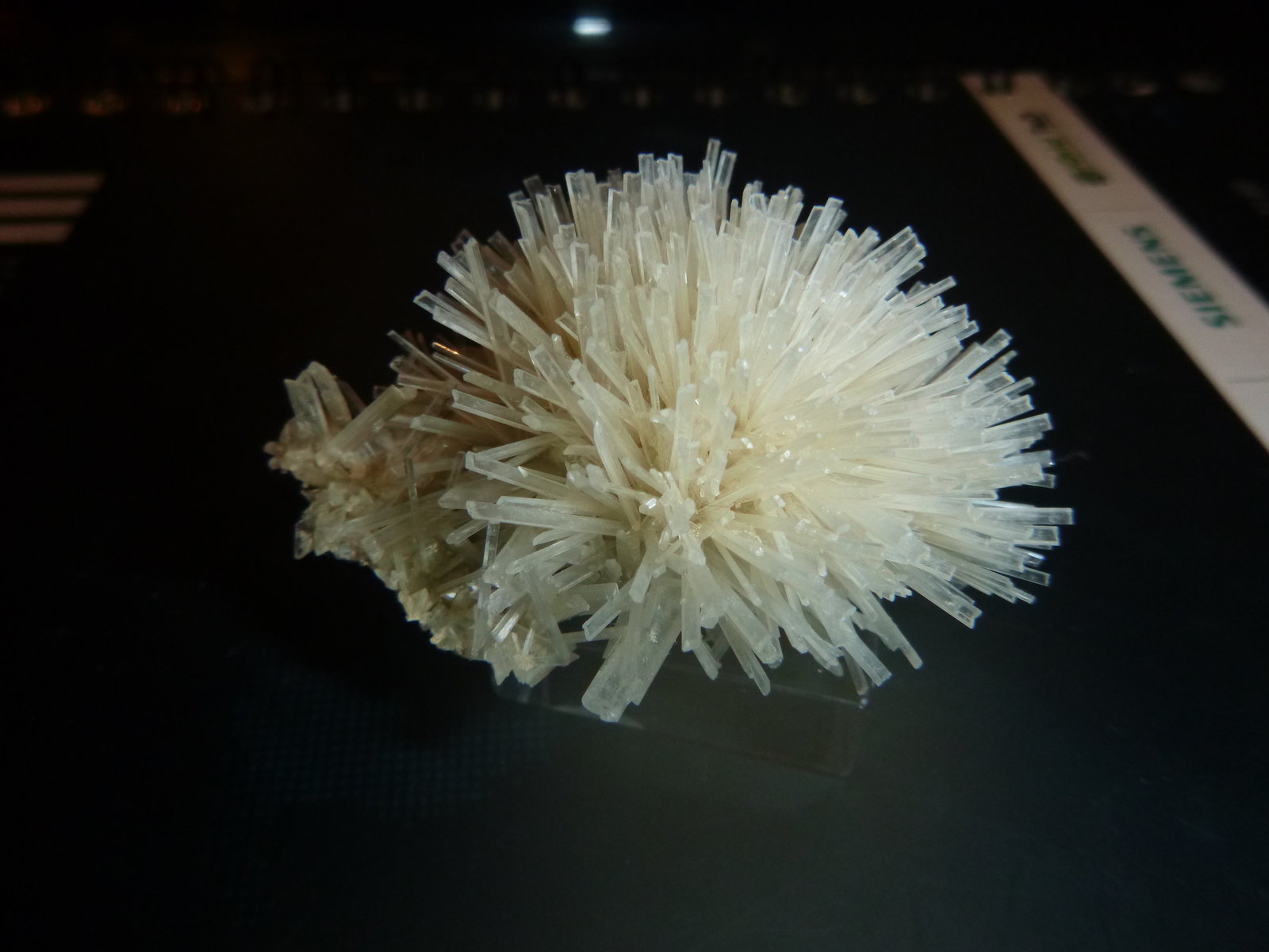 Gypsum
7 cm x 5 cm x 4 cm
(Autor: Firmo Espinar)