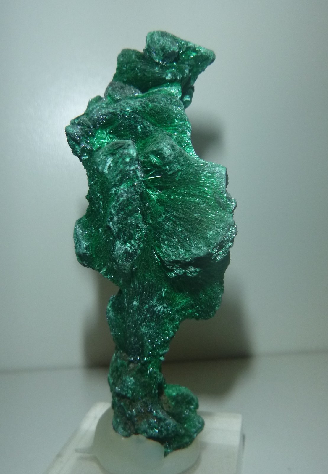 Malachite
38mm x 82mm x 44mm
(Autor: Firmo Espinar)