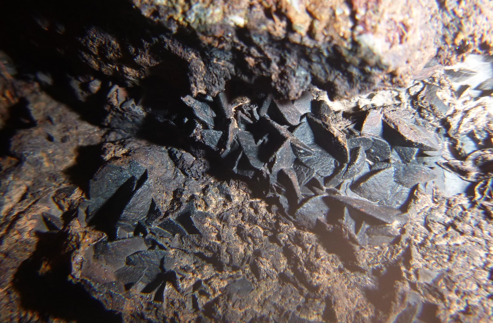Siderite
FOV 40 mm
(Autor: Firmo Espinar)