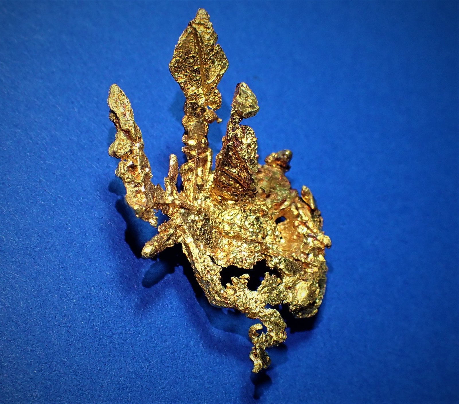 Native Gold
30 mm x  21 mm
(Autor: Don Lum)