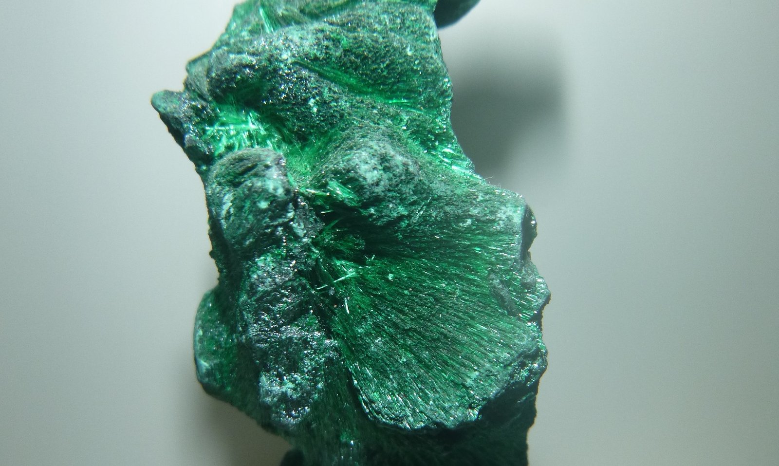 Malachite
38mm x 82mm x 44mm
(Autor: Firmo Espinar)