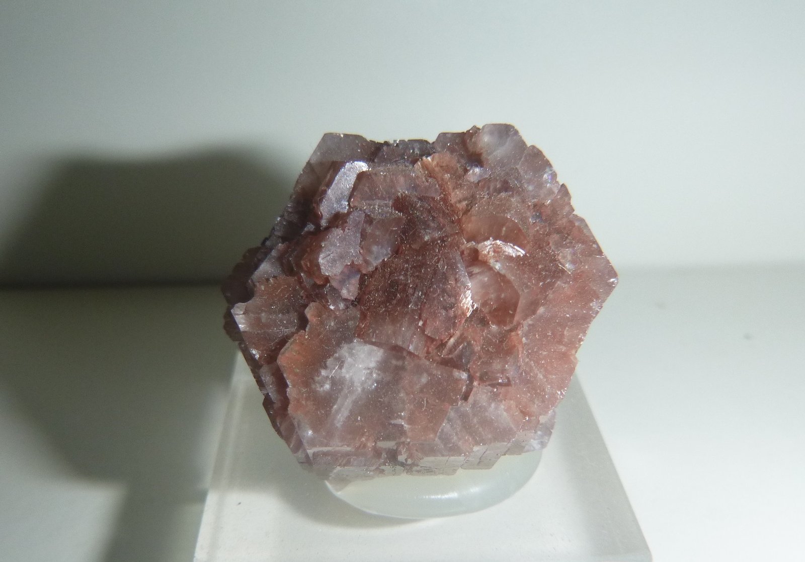 Aragonite
42mm x 38mm x 26mm
(Autor: Firmo Espinar)