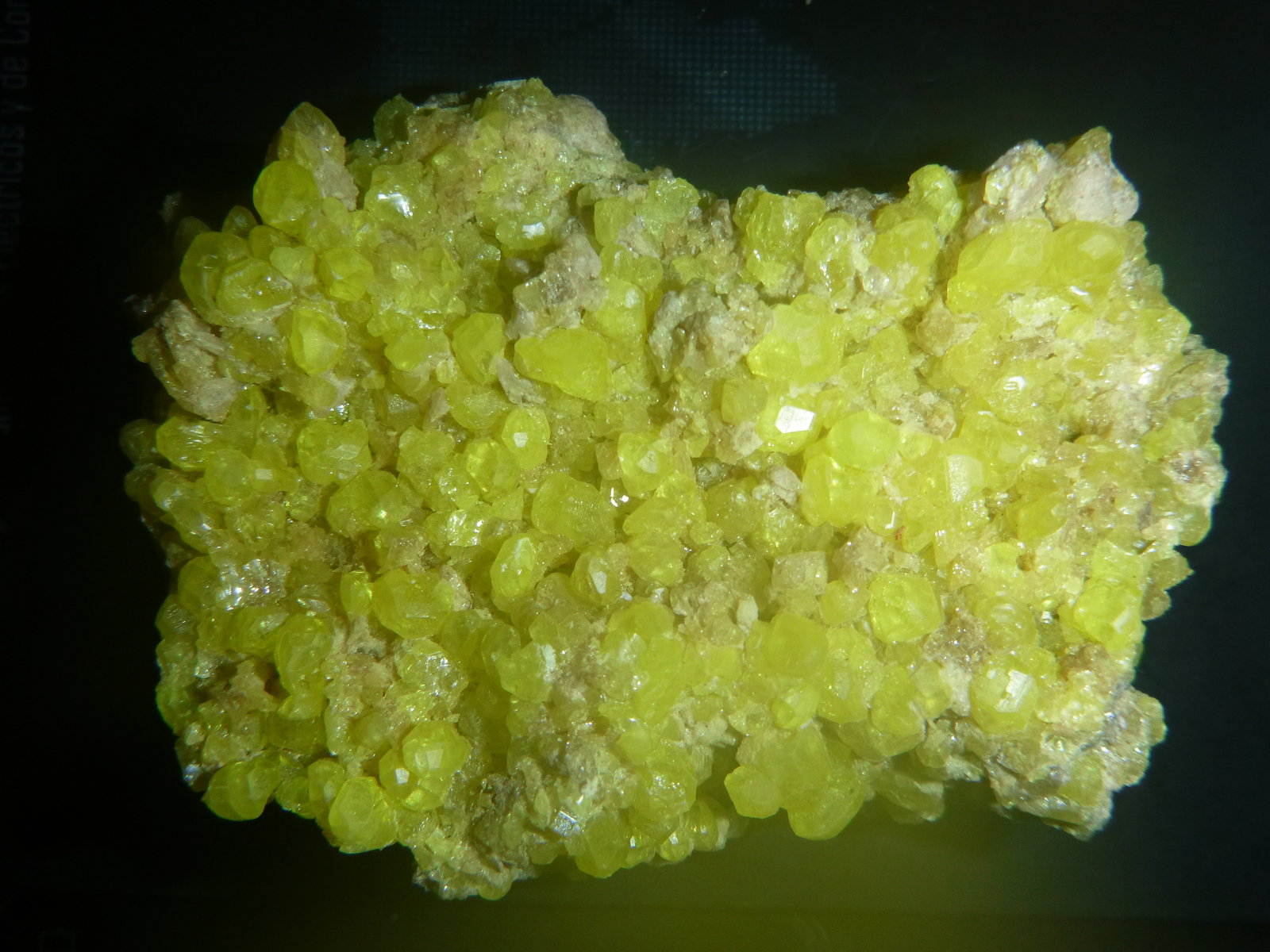 Sulphur
94 mm x 65 mm x 48 mm
(Autor: Firmo Espinar)