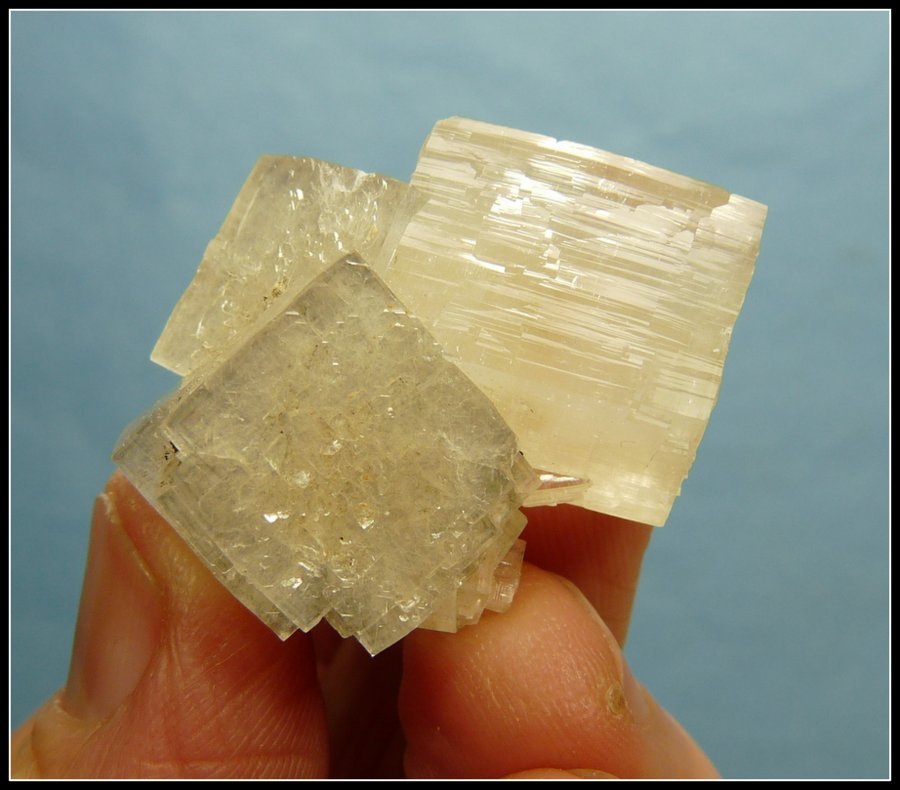 Apophyllite (Group)
34 x 30 x 24 mm
(Autor: Pierre Joubert)
