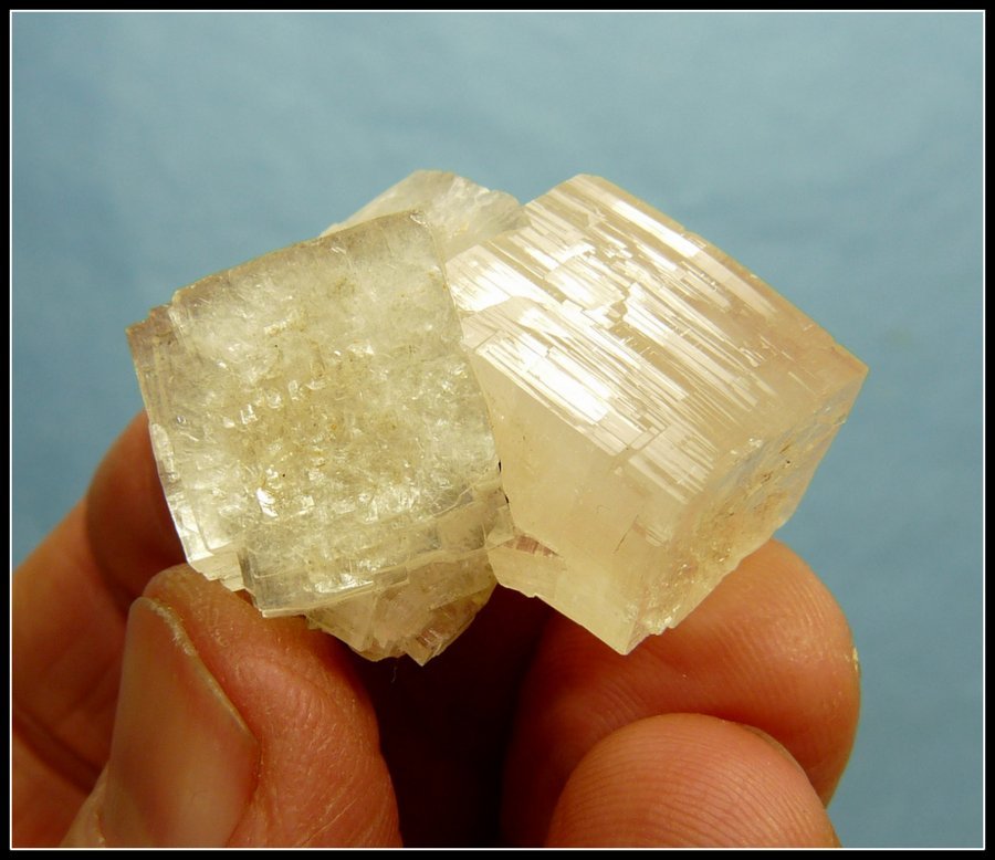 Apophyllite (Group)
34 x 30 x 24 mm
(Autor: Pierre Joubert)