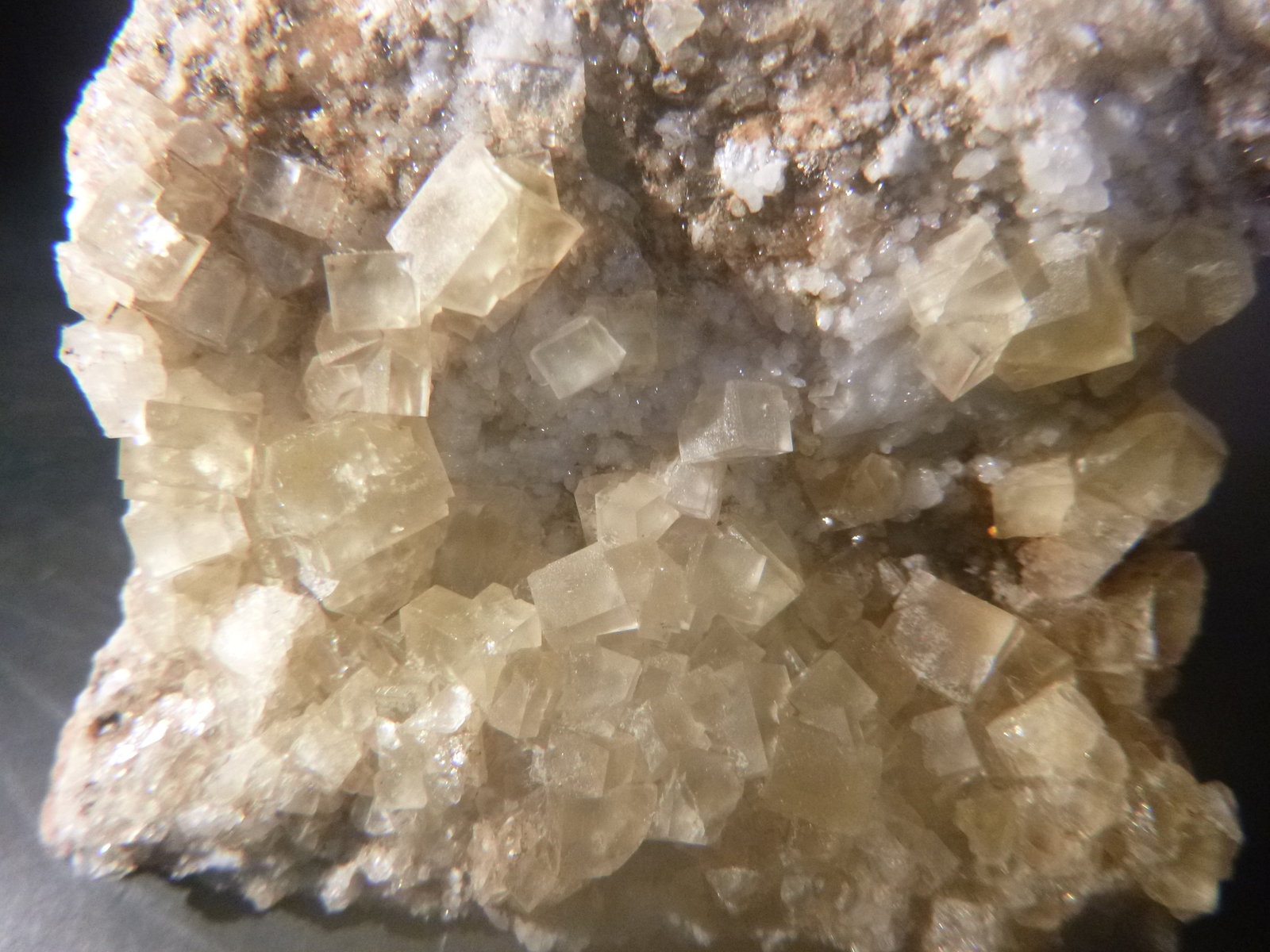 Fluorite
FOV = 57 mm
(Autor: Firmo Espinar)