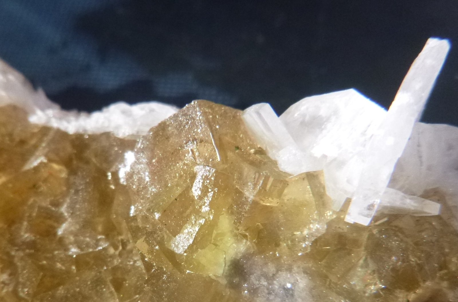 Fluorite and Baryte
124mm x 56mm x 32mm
(Autor: Firmo Espinar)