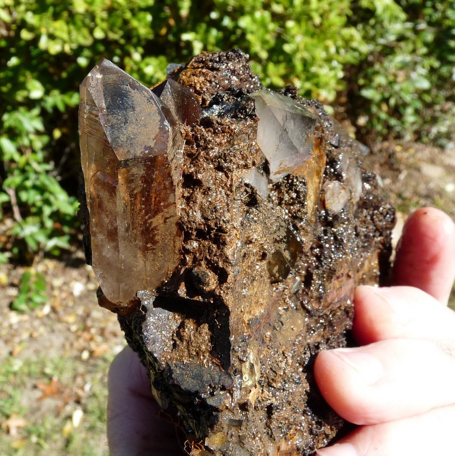 Quartz with goethite
165 x 130 x 67 mm
(Autor: Pierre Joubert)