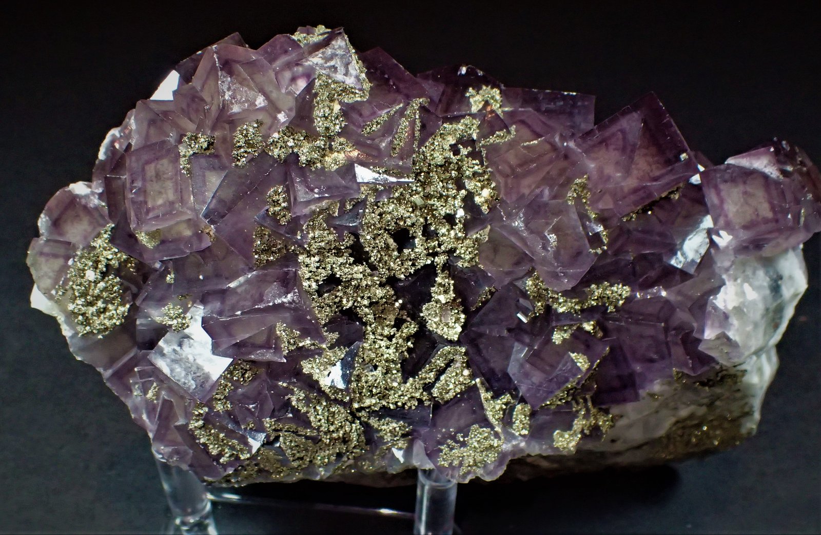 Fluorite, Pyrite
143 mm x 87 mm
(Autor: Don Lum)