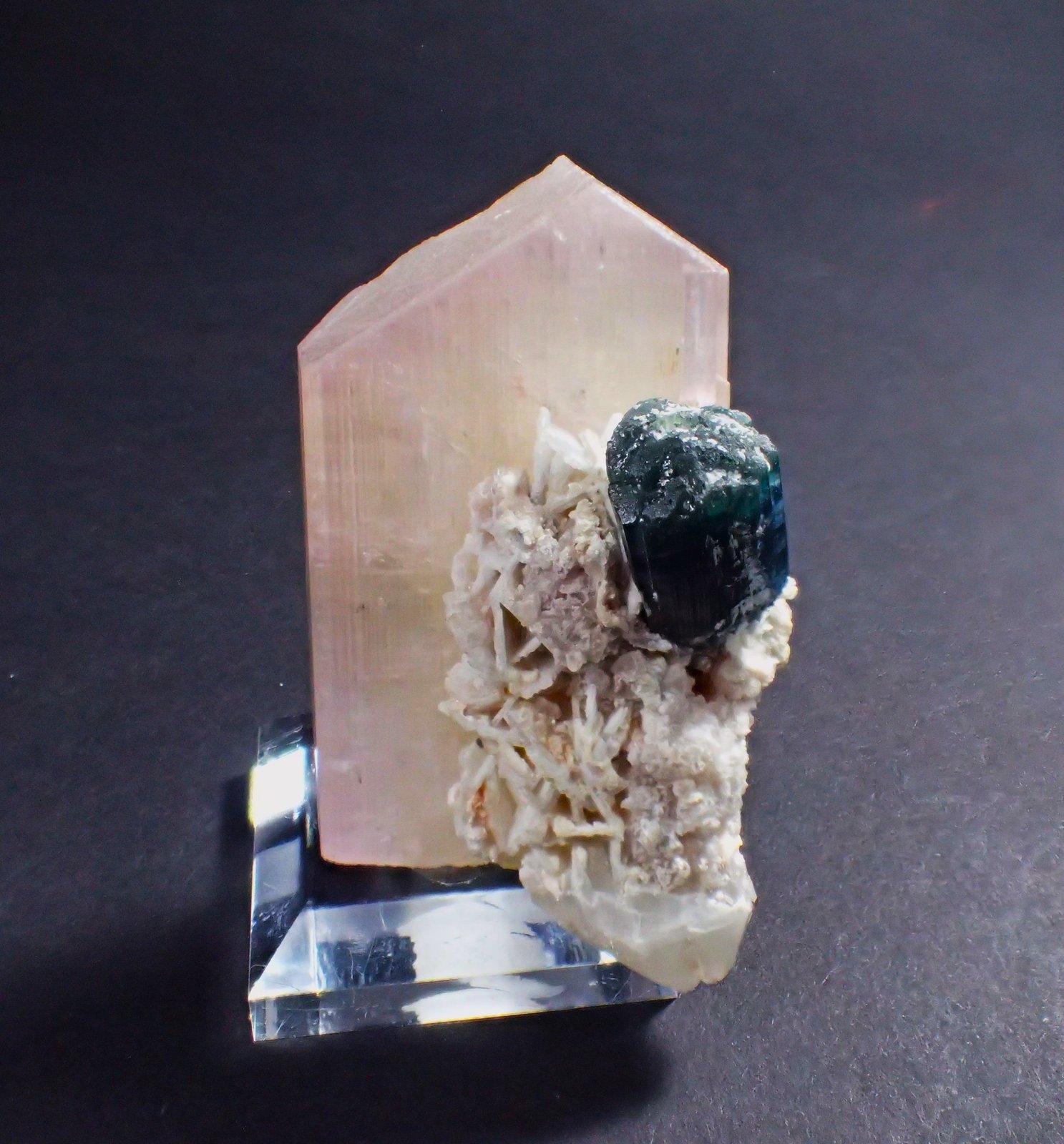 Spodumene (variety kunzite), Elbaite (variety indicolite)(Tourmaline Group), Albite and Quartz
65 mm x 40 mm x 35 mm
(Autor: Don Lum)