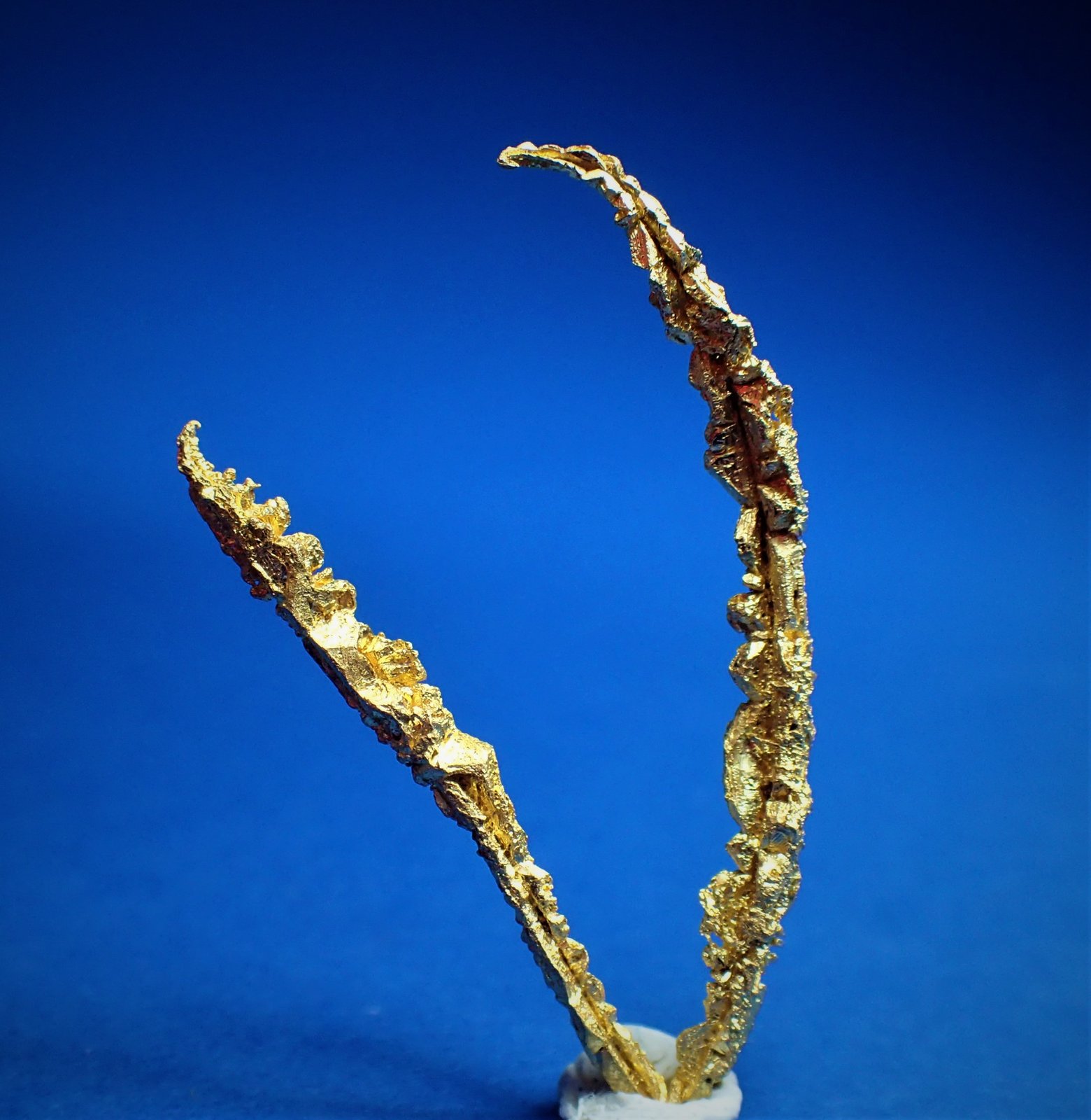 Gold
35 mm x 24 mm x 3 mm
(Autor: Don Lum)