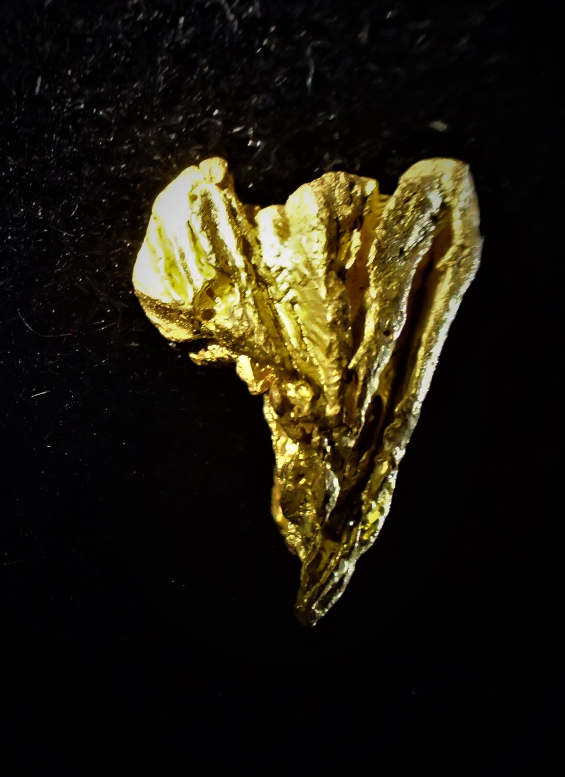 Gold
13 mm x 10 mm
(Autor: Don Lum)