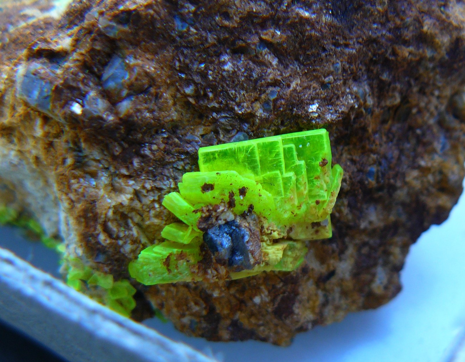 Autunite
crystal : 1 x 1 cm
(Autor: Benj)