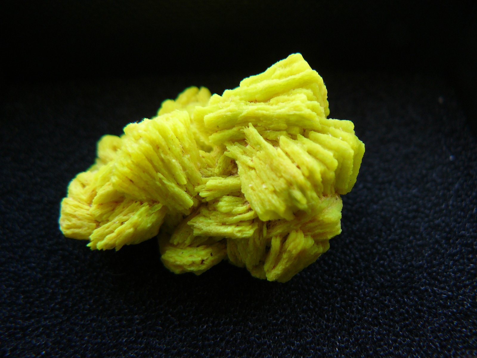 Meta-autunite
3 cm
(Autor: Benj)