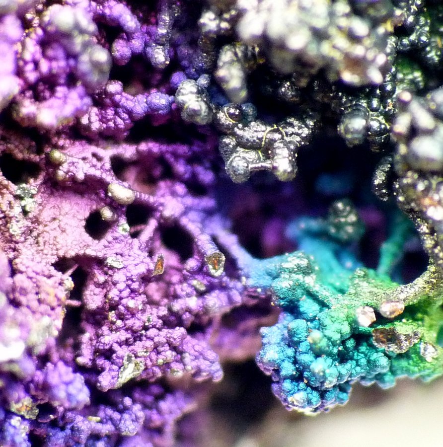 Goethite
F.O.V approximately 5 -15 mm
(Autor: Pierre Joubert)
