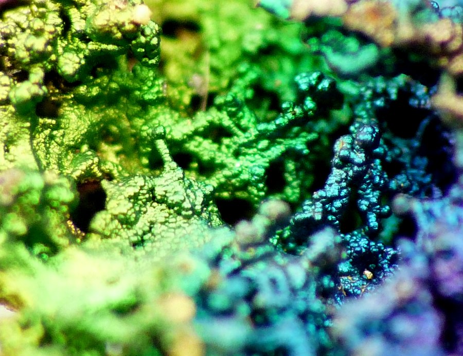 Goethite
F.O.V approximately 5 -15 mm
(Autor: Pierre Joubert)