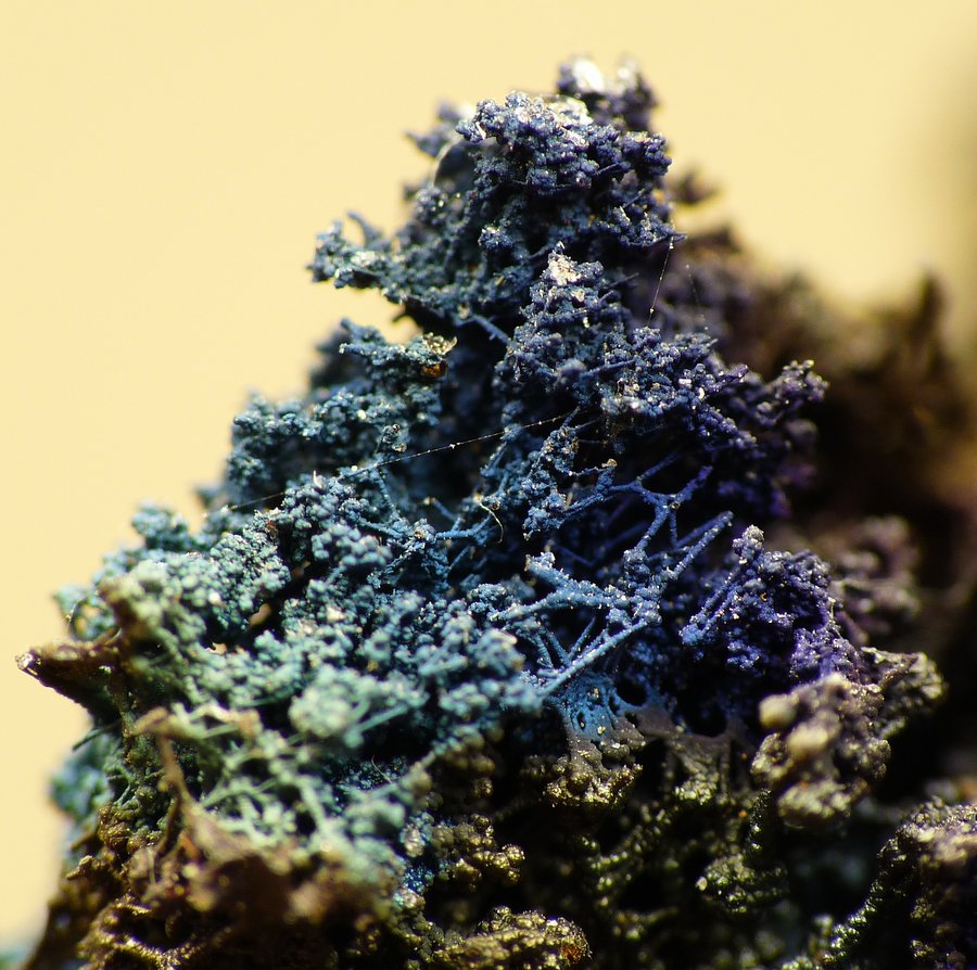 Goethite
F.O.V approximately 5 -15 mm
(Autor: Pierre Joubert)