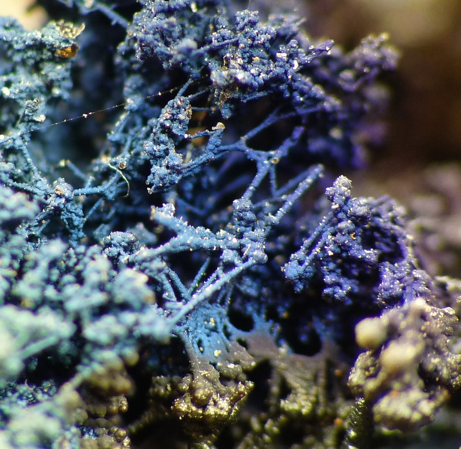 Goethite
F.O.V approximately 5 -15 mm
(Autor: Pierre Joubert)