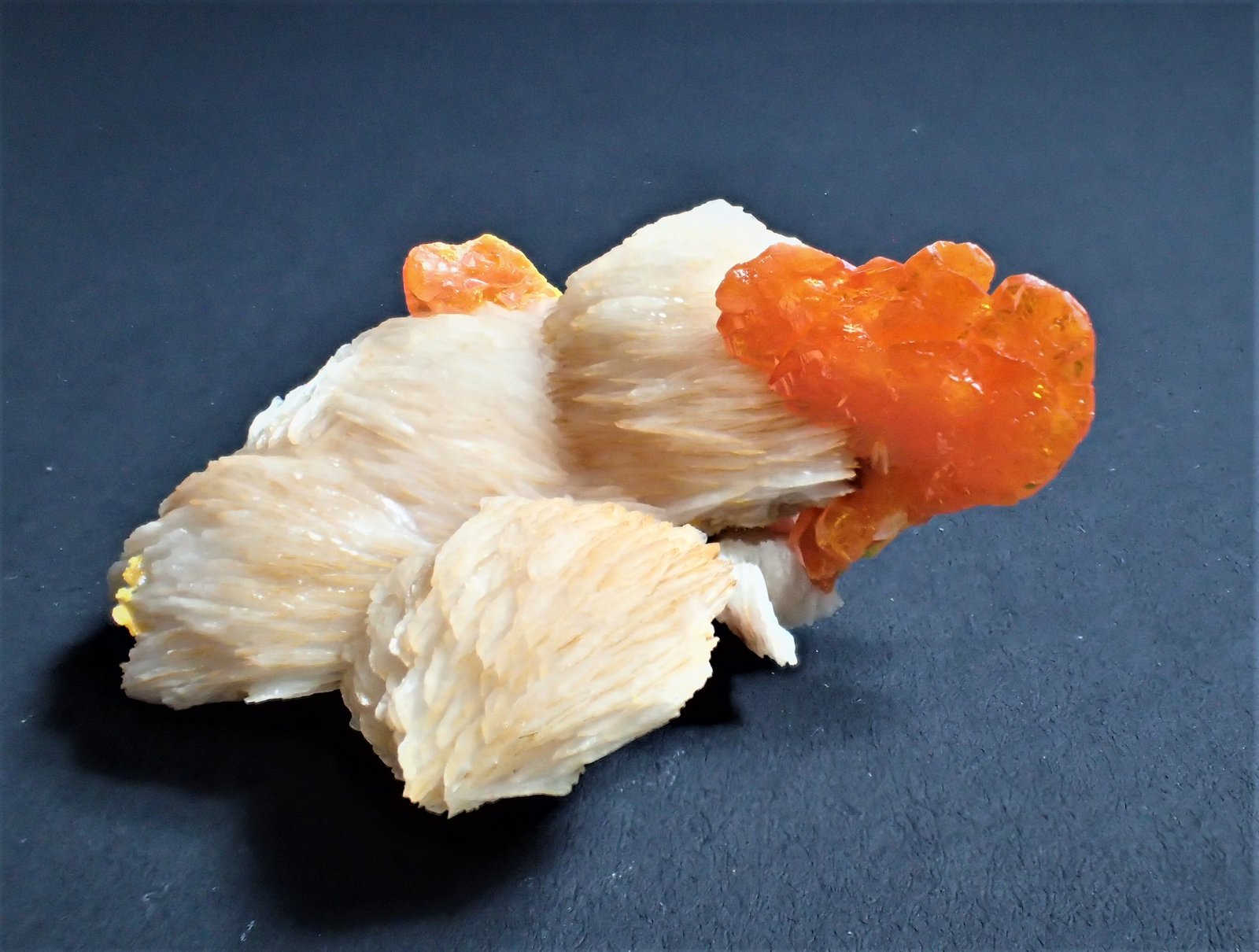 Wulfenite, Baryte
53 mm x 35 mm x 21 mm
(Autor: Don Lum)