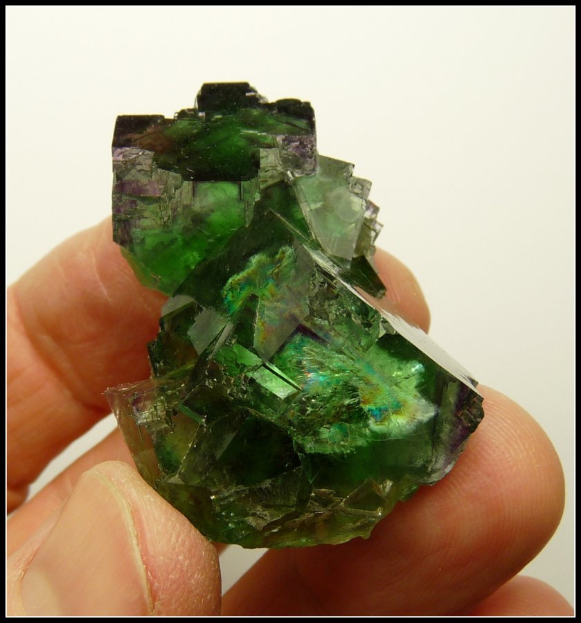 Fluorite
46 x 31 x 23 mm
(Autor: Pierre Joubert)