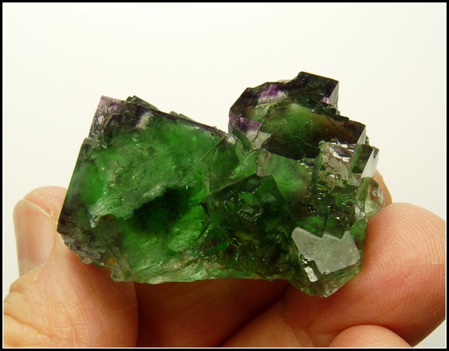 Fluorite
46 x 31 x 23 mm
(Autor: Pierre Joubert)
