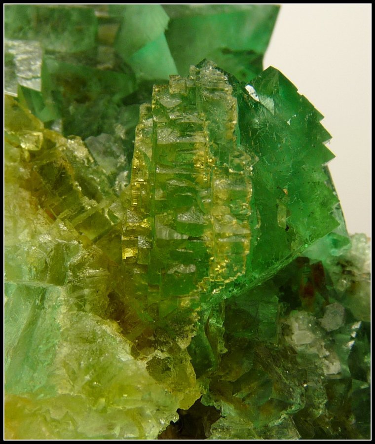 Fluorite
79 x 46 x 34 mm
(Autor: Pierre Joubert)