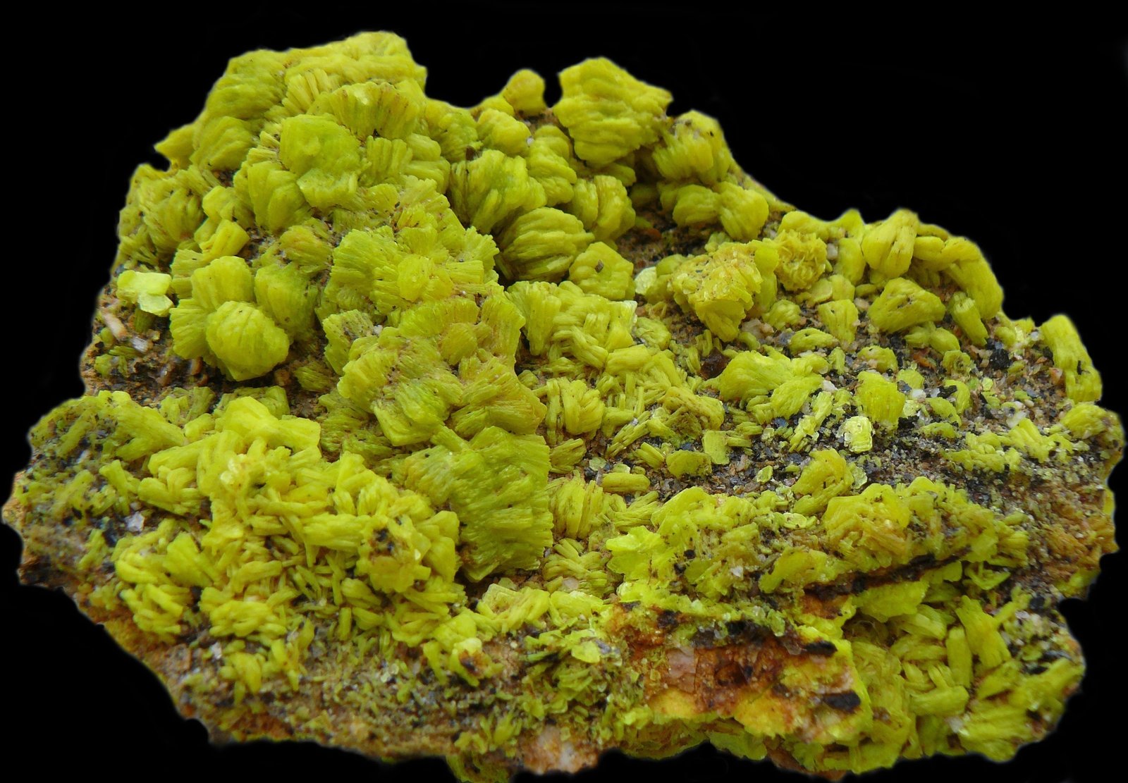 Autunite
10 x 7 cm
(Autor: Benj)