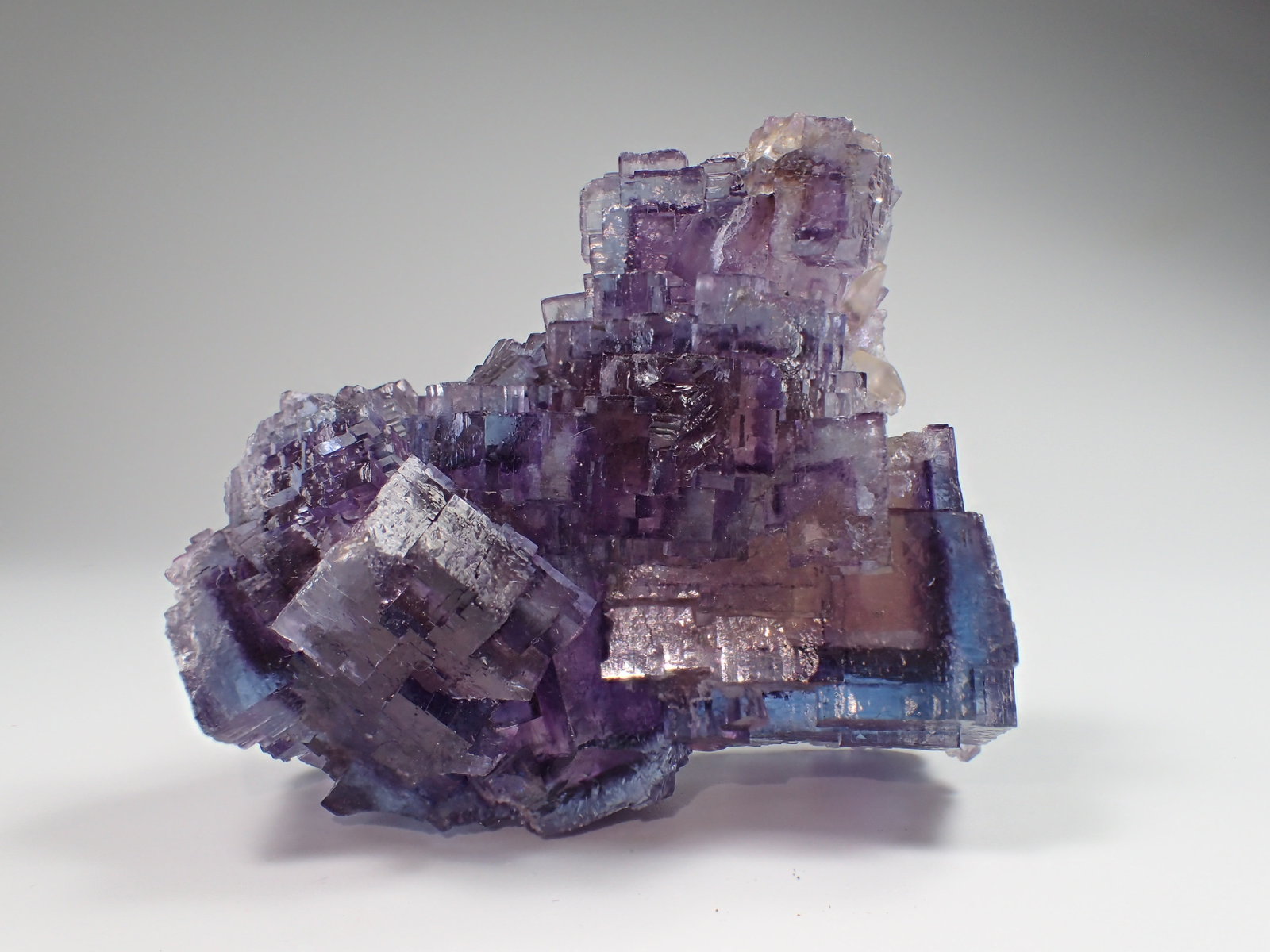 Fluorite
71 mm x 58 mm x 44 mm
(Autor: Don Lum)