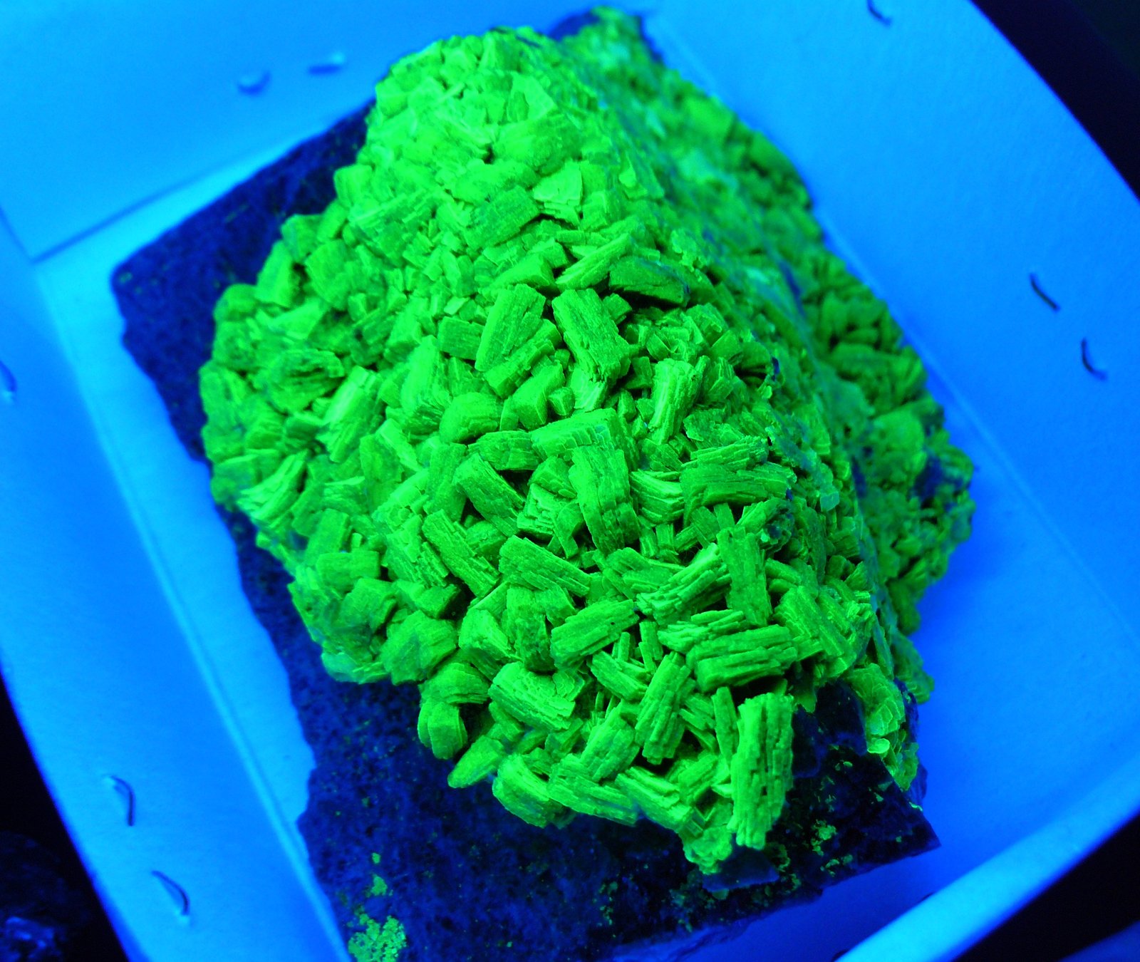 Autunite
10 x 5 x 5 cm
(Autor: Benj)