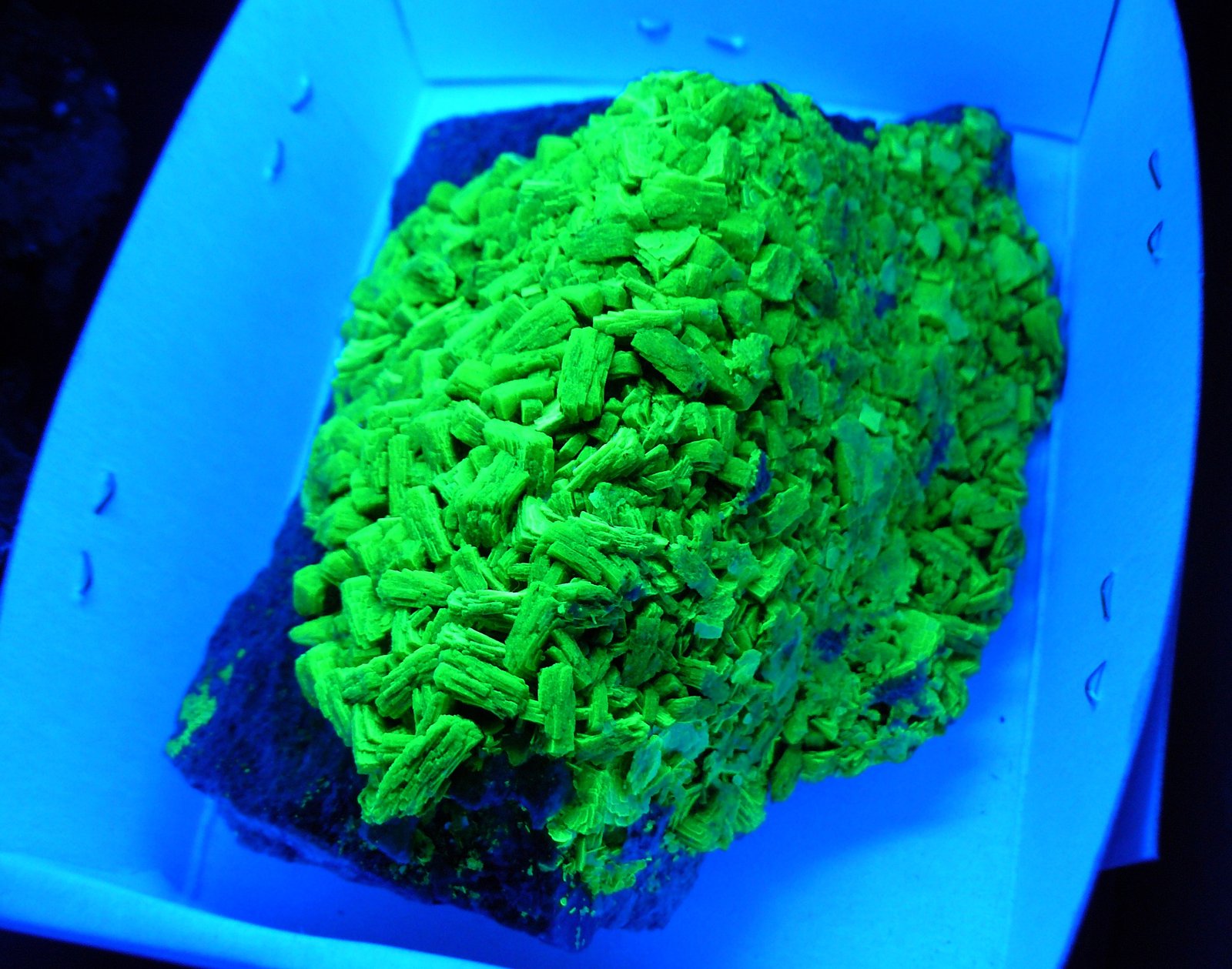 Autunite
10 x 5 x 5 cm
(Autor: Benj)