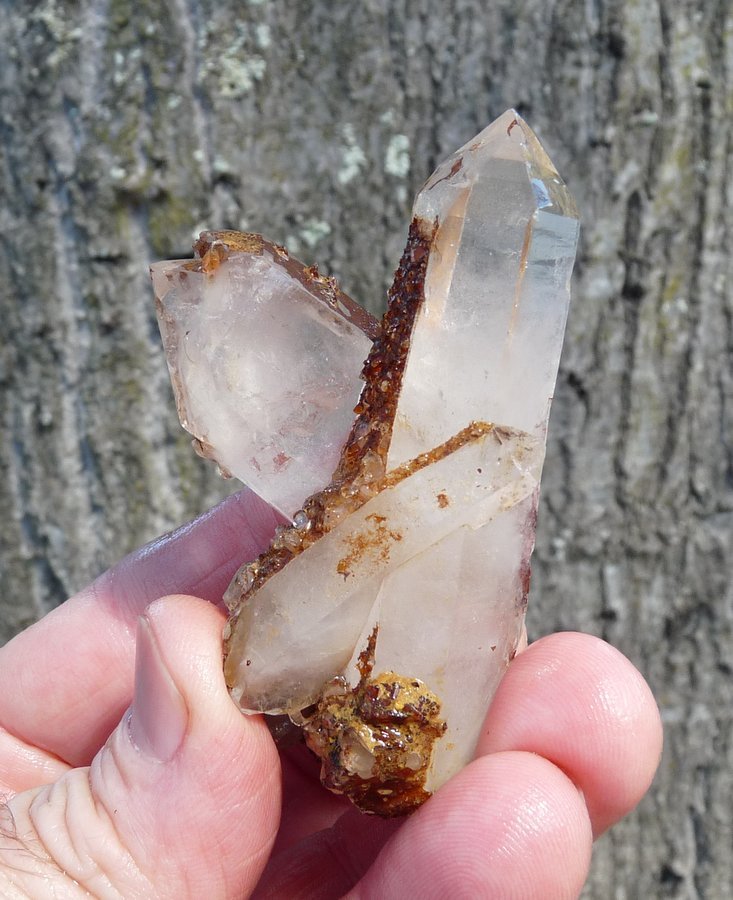 Quartz
Hands for size.
(Autor: Pierre Joubert)
