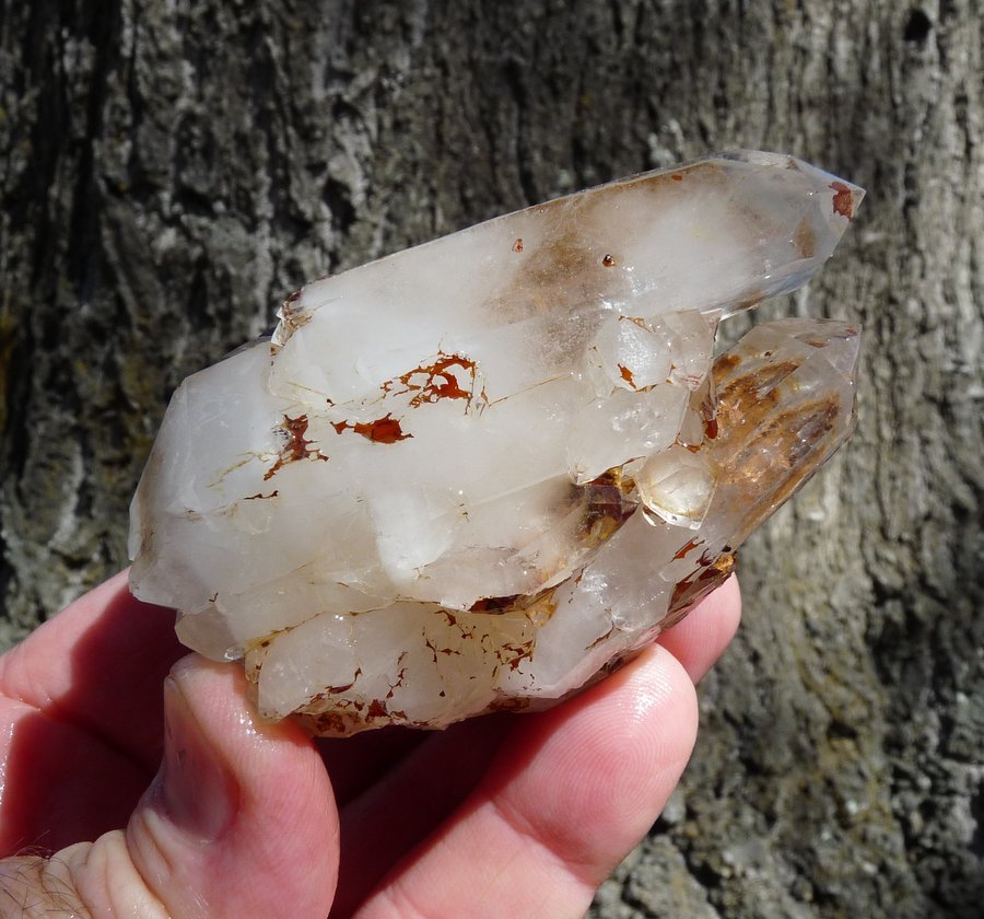 Quartz
Hands for size.
(Autor: Pierre Joubert)