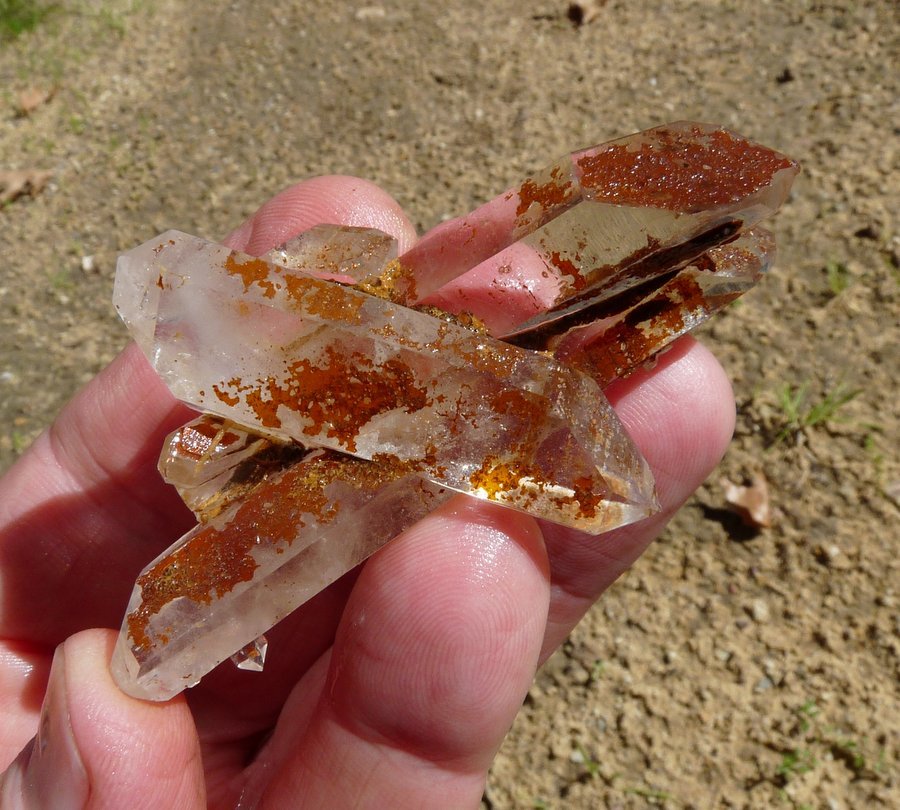 Quartz
Hands for size.
(Autor: Pierre Joubert)
