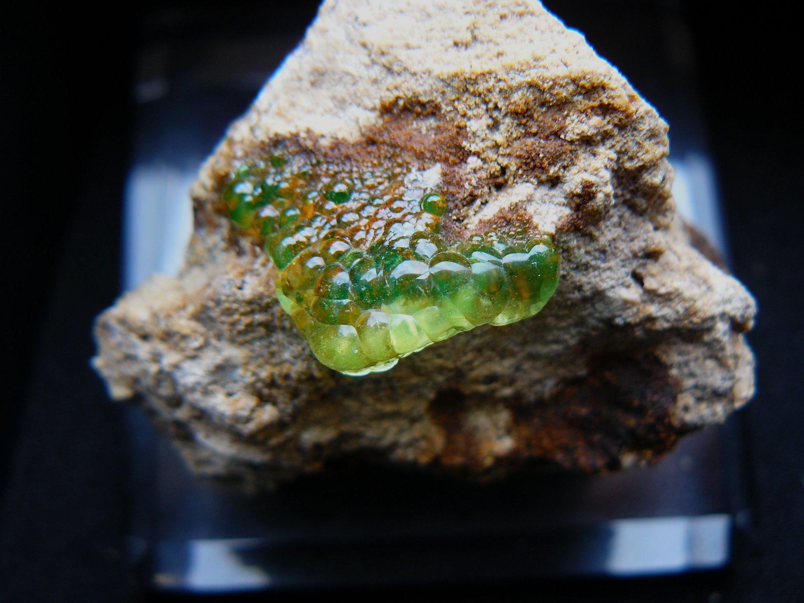 Opal (variety hyalite)
crystal : 3 cm
(Autor: Benj)
