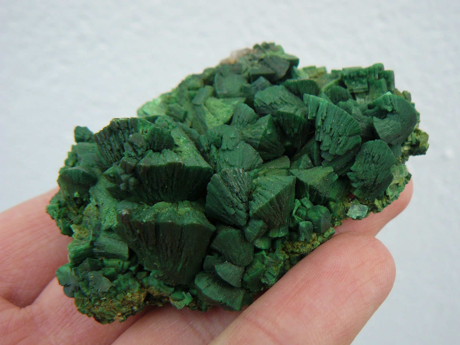 Torbernite
(Autor: Benj)