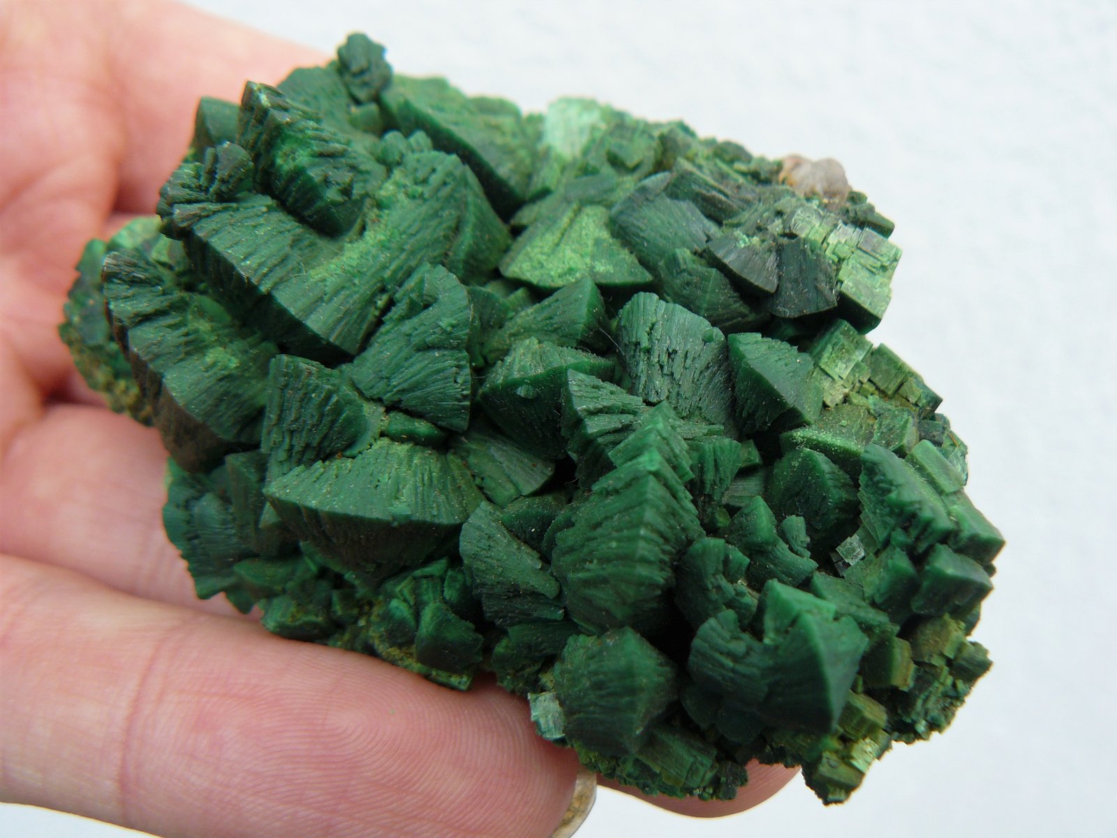Torbernite
(Autor: Benj)