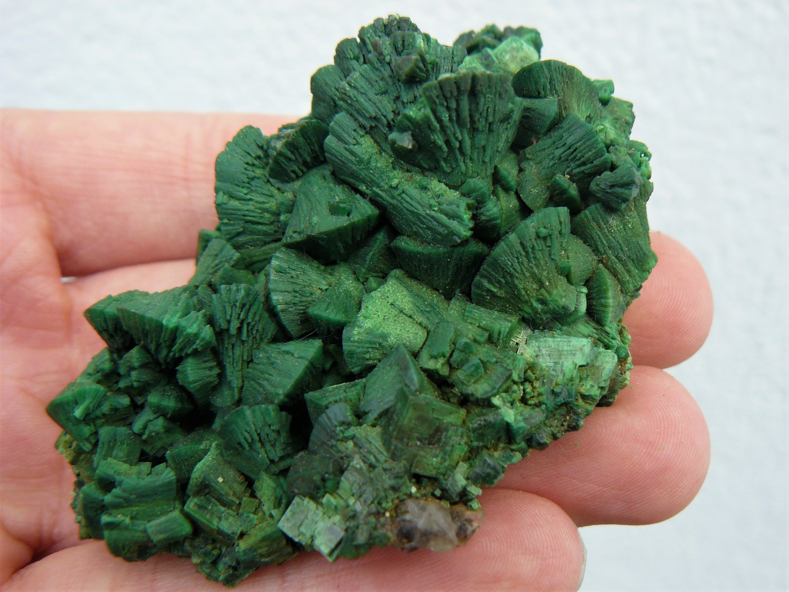 Torbernite
7 x 5 cm
(Autor: Benj)