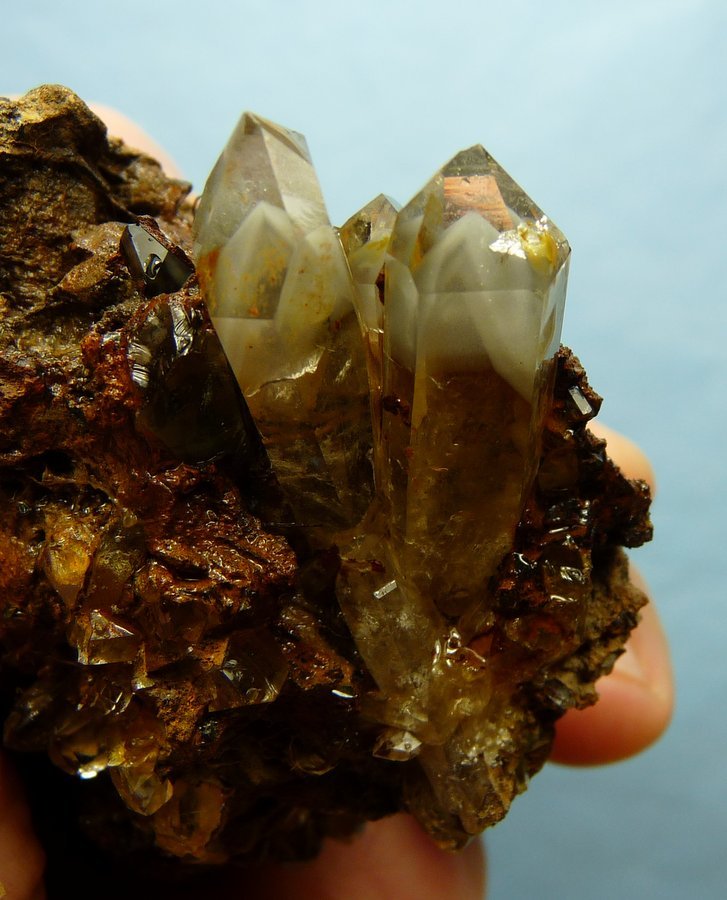 Quartz on Goethite
Longest crystal 30 mm
(Autor: Pierre Joubert)