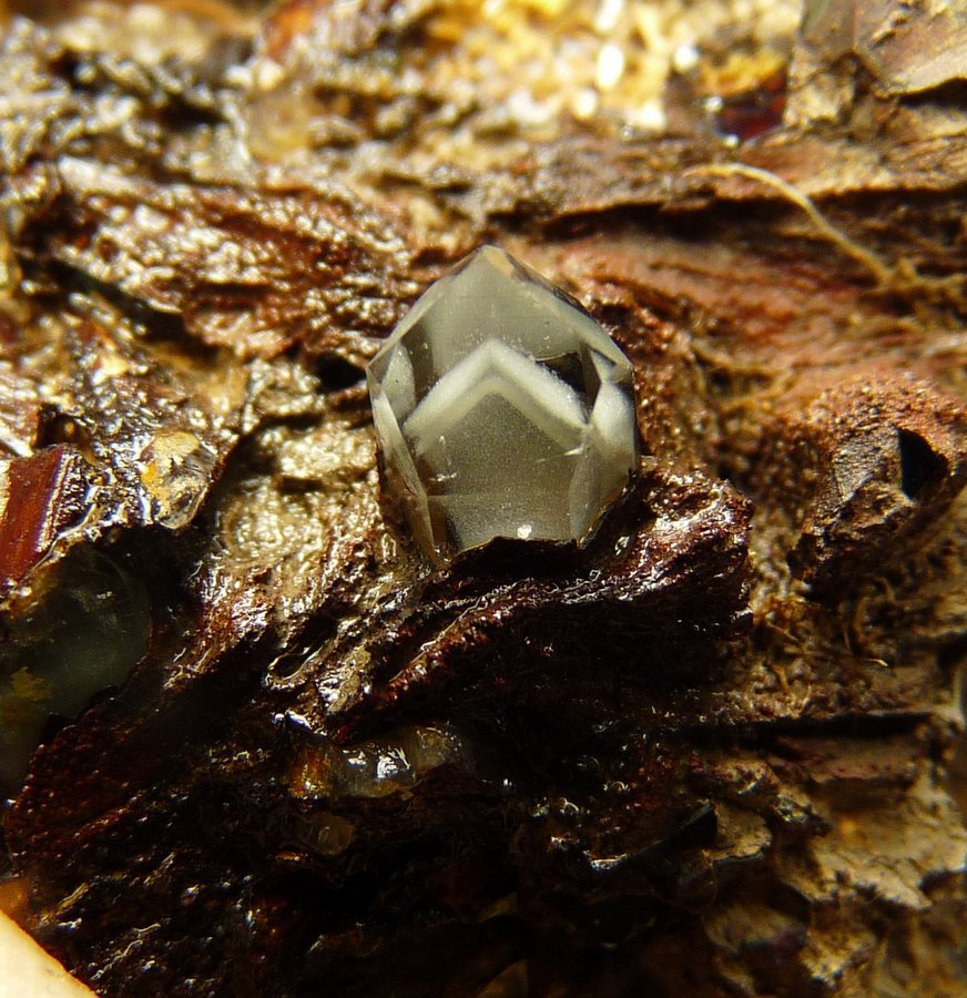 Quartz on Goethite
Crystal  12 x 07 mm
(Autor: Pierre Joubert)