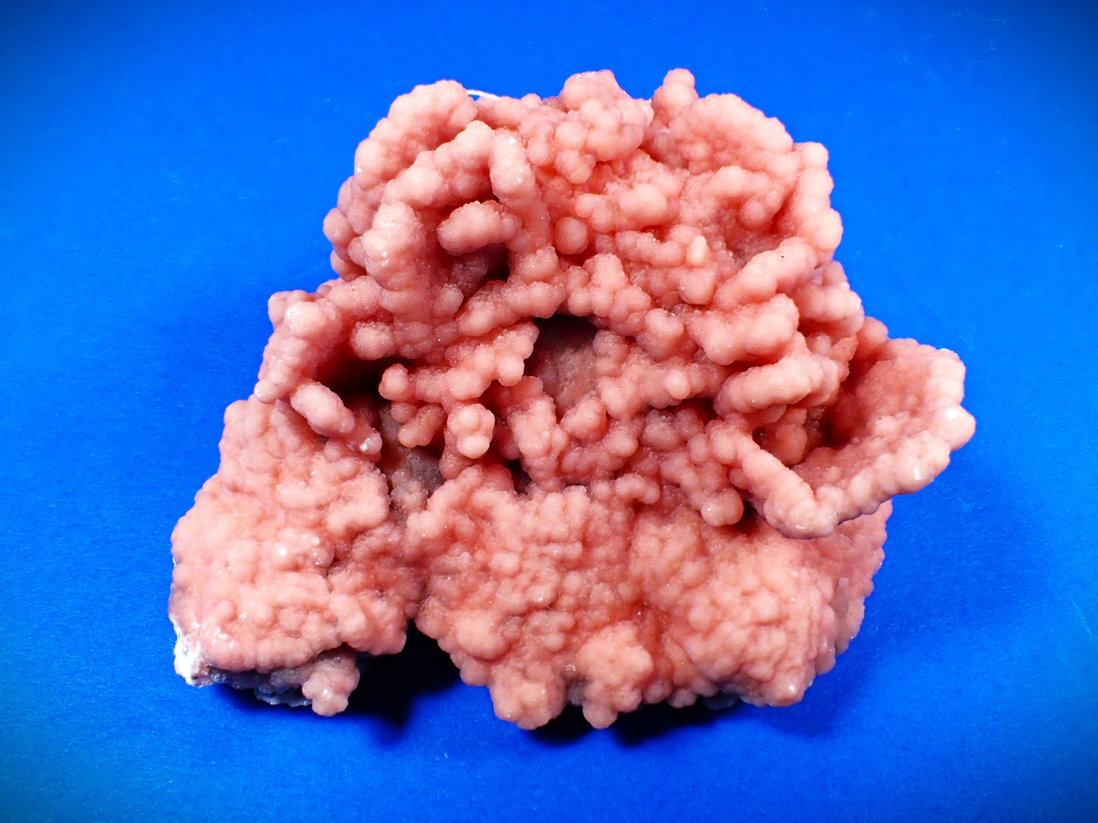 Rhodochrosite
75 mm x 63 mm x 47 mm
(Autor: Don Lum)