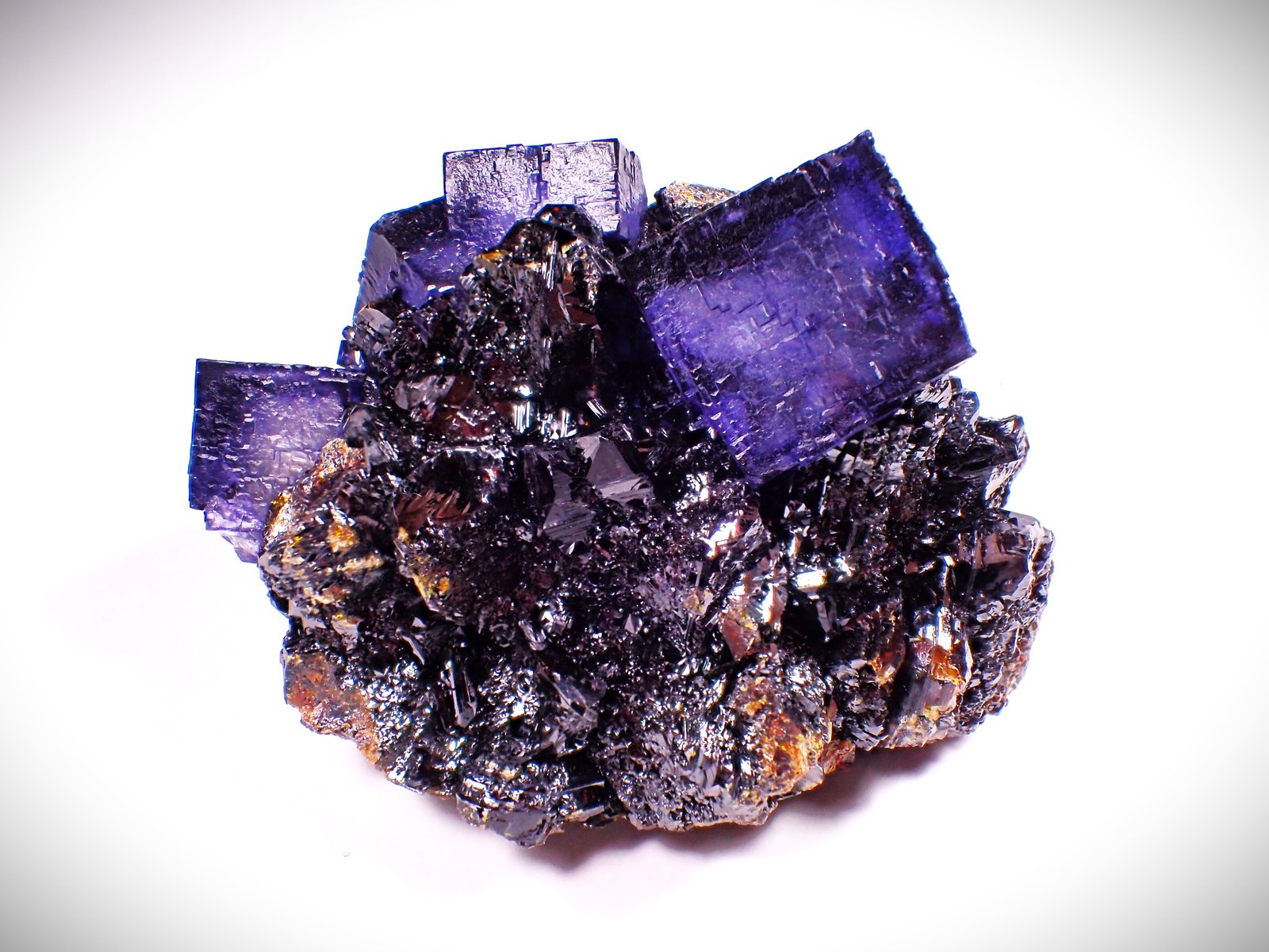 Fluorite, Sphalerite
110 mm x 87 mm x 63 mm
(Autor: Don Lum)