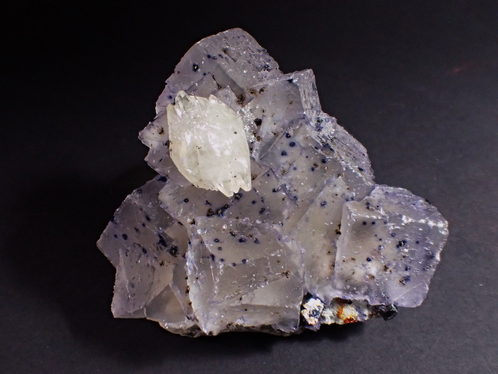 Fluorite, Calcite, Sphalerite, Pyrite, Dolomite
90 mm x 90 mmx 55 mm
(Autor: Don Lum)