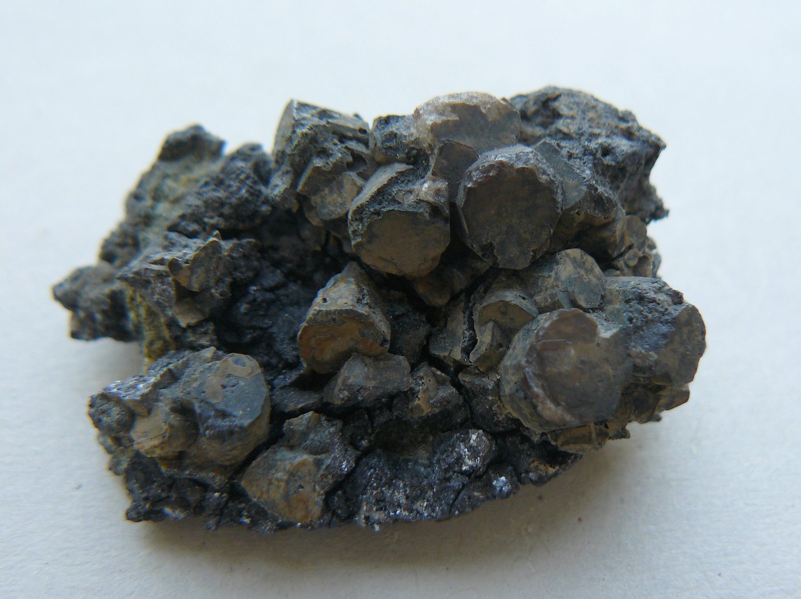 Galena after Pyromorphite
3,5 x 2 cm
(Autor: Benj)