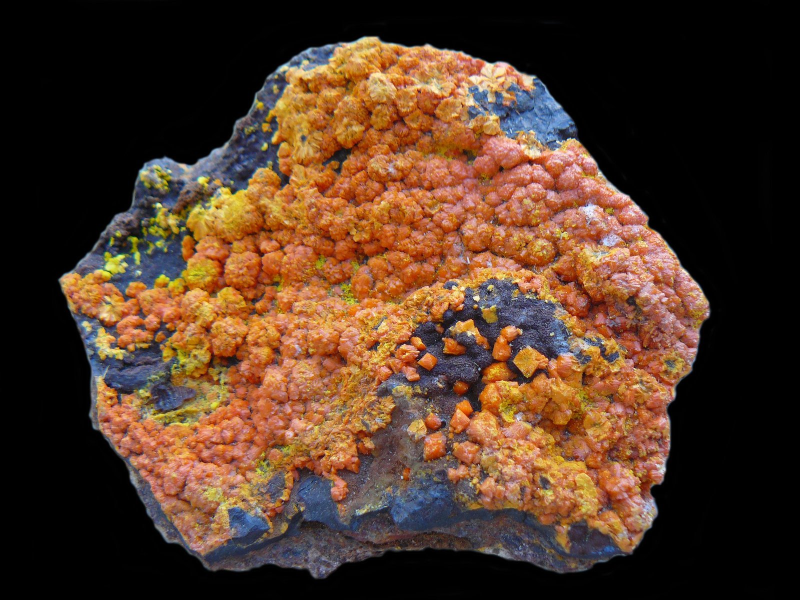 Francevillite, Curienite, Vanuralite, Mounanaite and Uraninite
11 x 8,5 cm
(Autor: Benj)